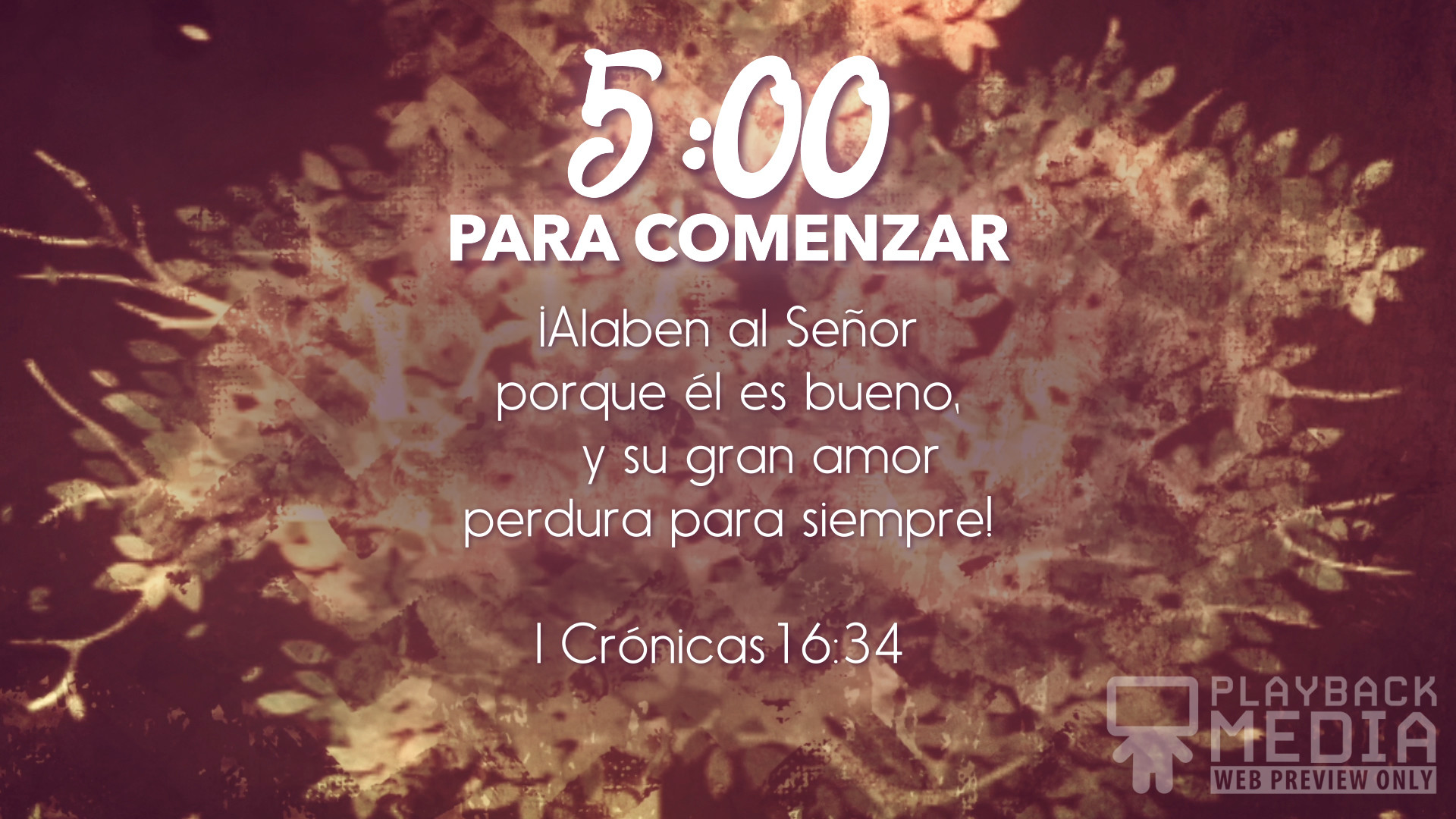 1920x1080 Thanksgiving Gratitude Scripture Countdown – Spanish