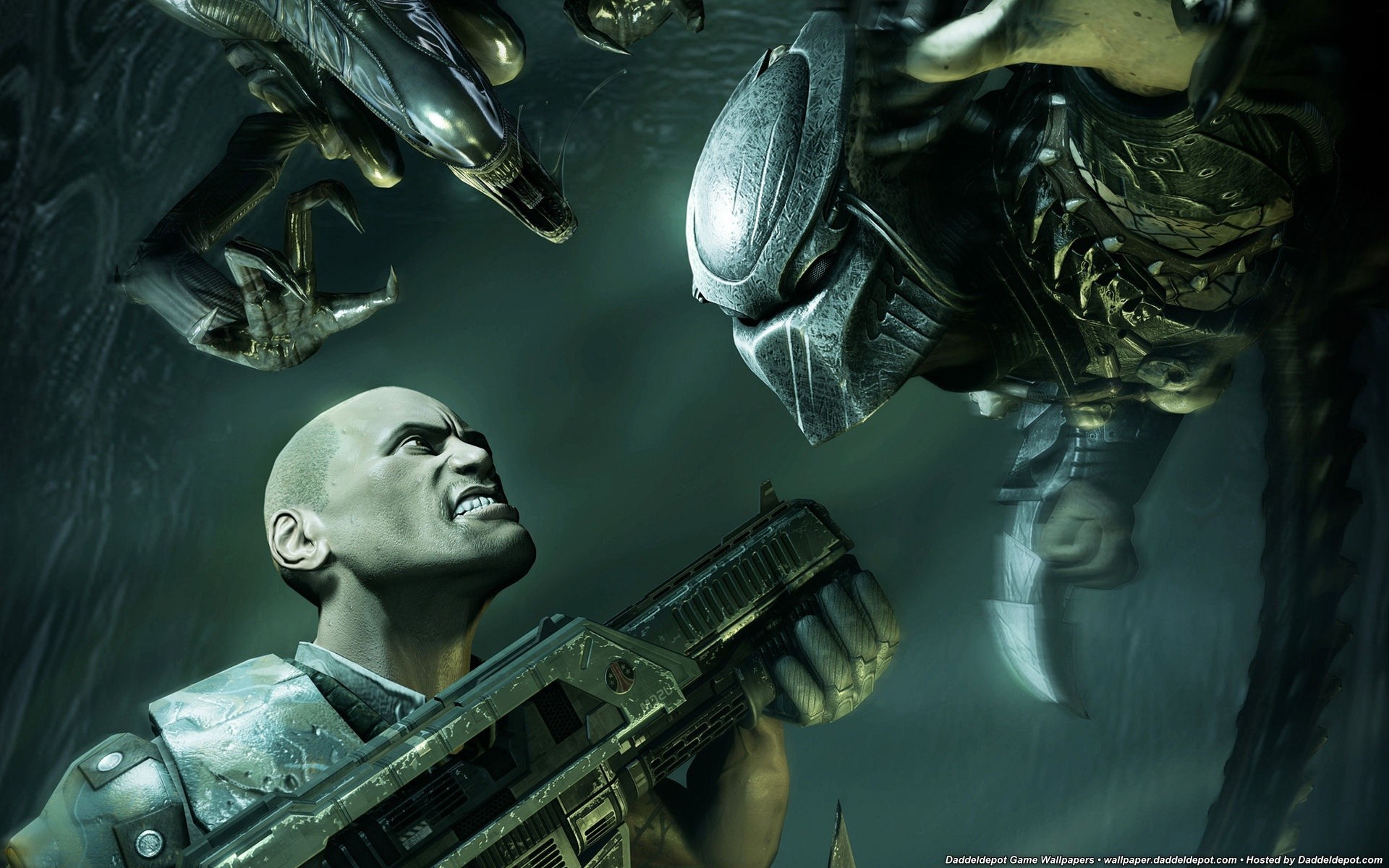 1920x1200 Bild: Aliens vs Predator wallpapers and stock photos. Â«