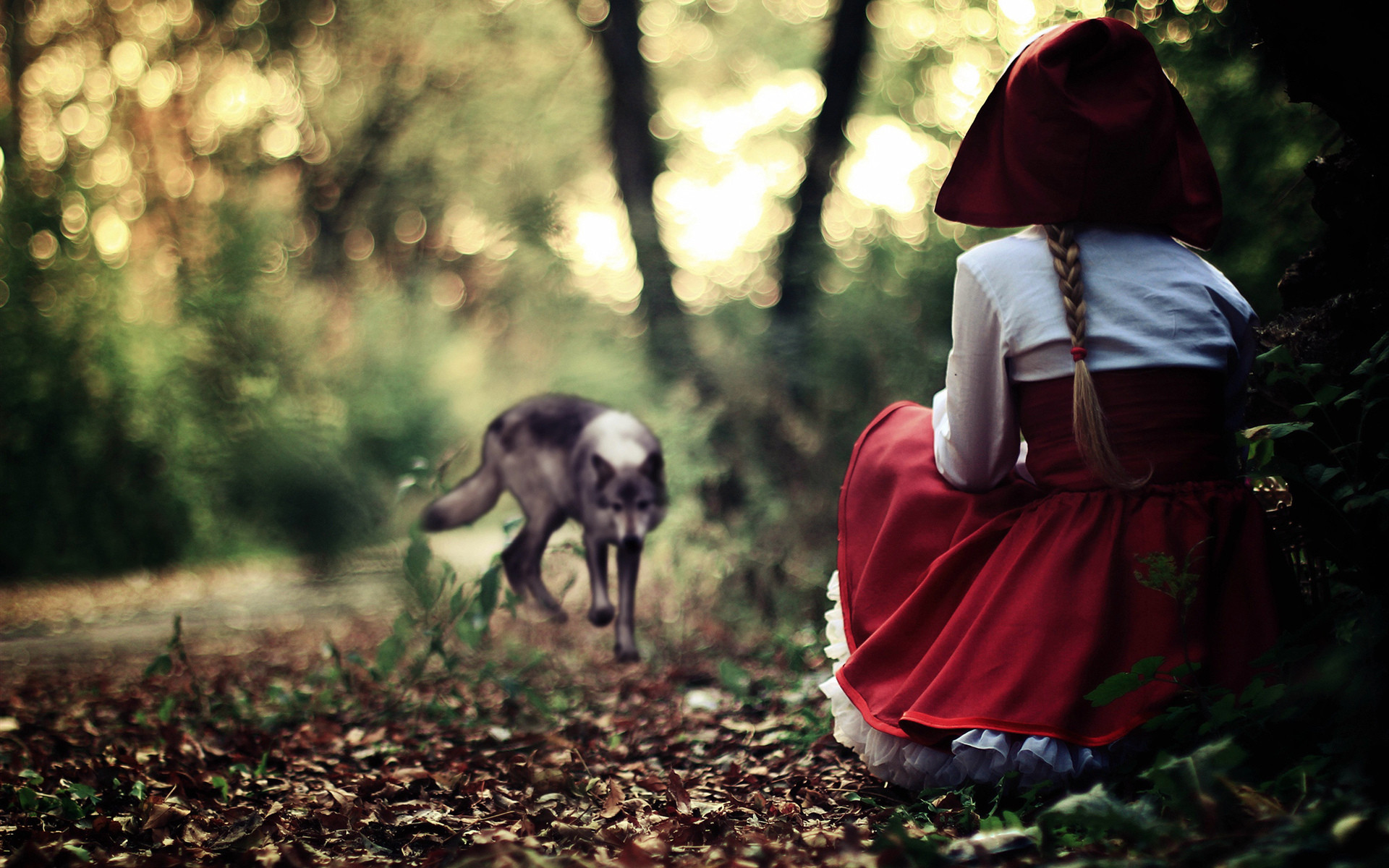 1920x1200 Little Red Riding Hood and the Wolf: