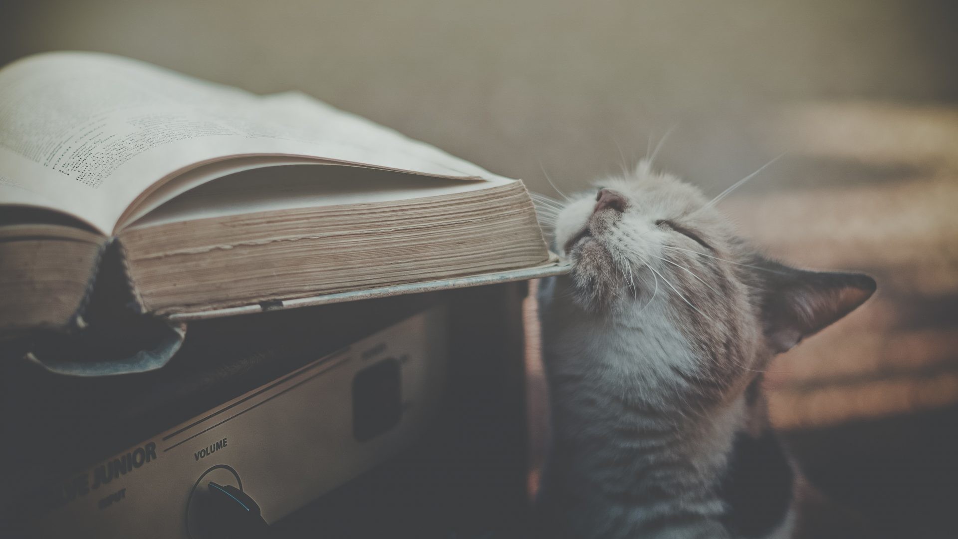 1920x1080 Books Tag - Cats Retro Nature Books Wallpapers Iphone for HD 16:9 High  Definition
