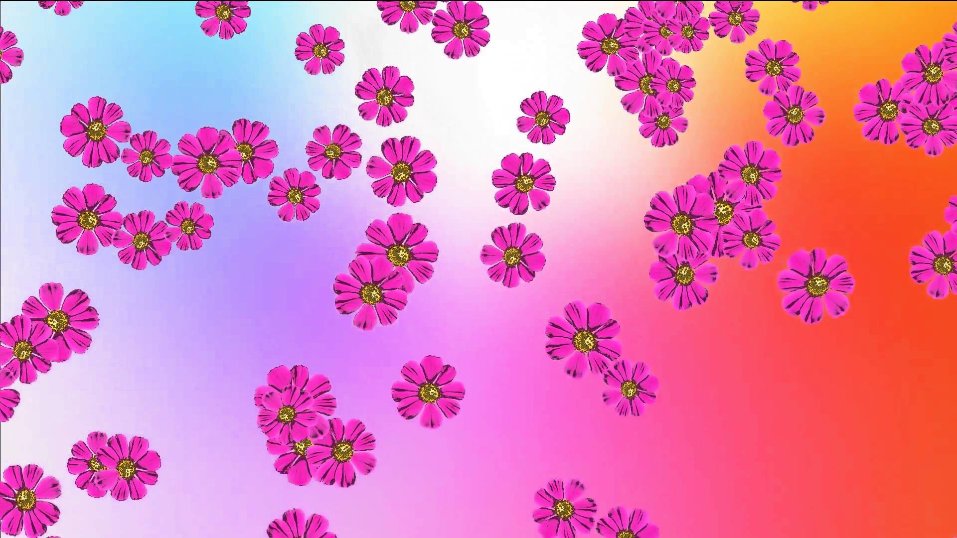 1920x1080 Pink Flowers On color background