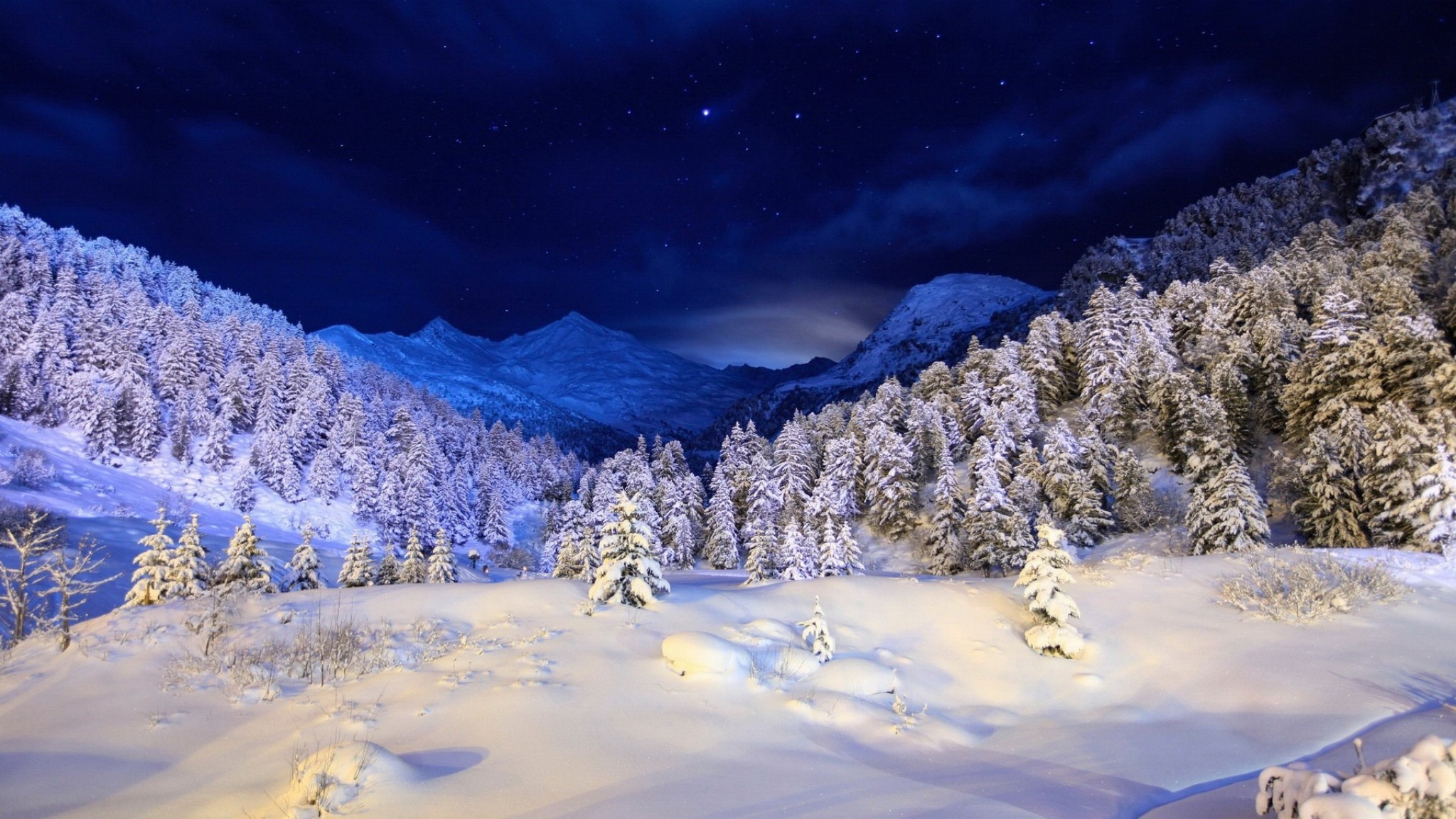 2048x1152  Wallpaper winter, snow, cover, night, light, trees, coniferous,