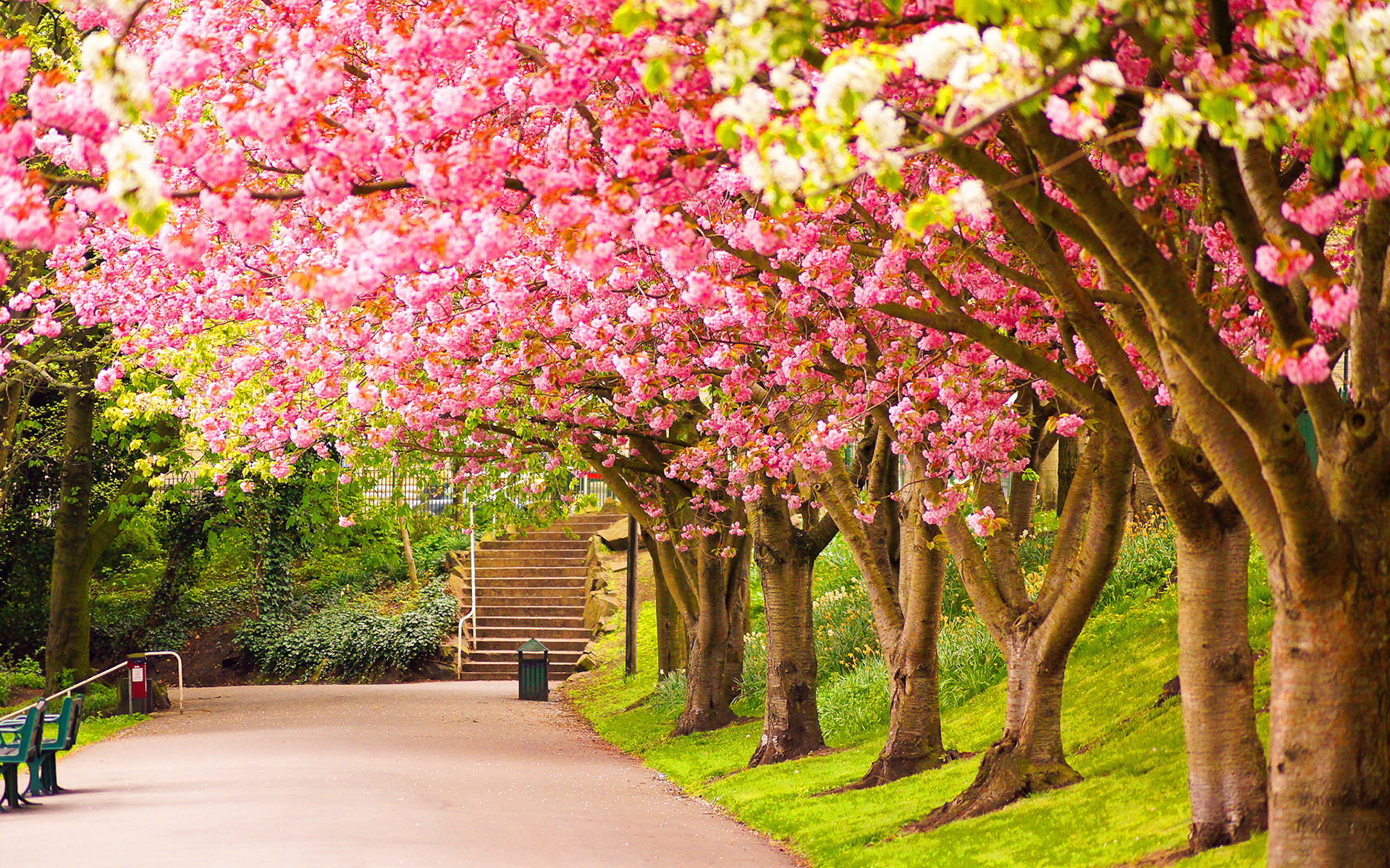 1920x1200 the spring wallpapers category of free hd wallpapers wallpaper nature .