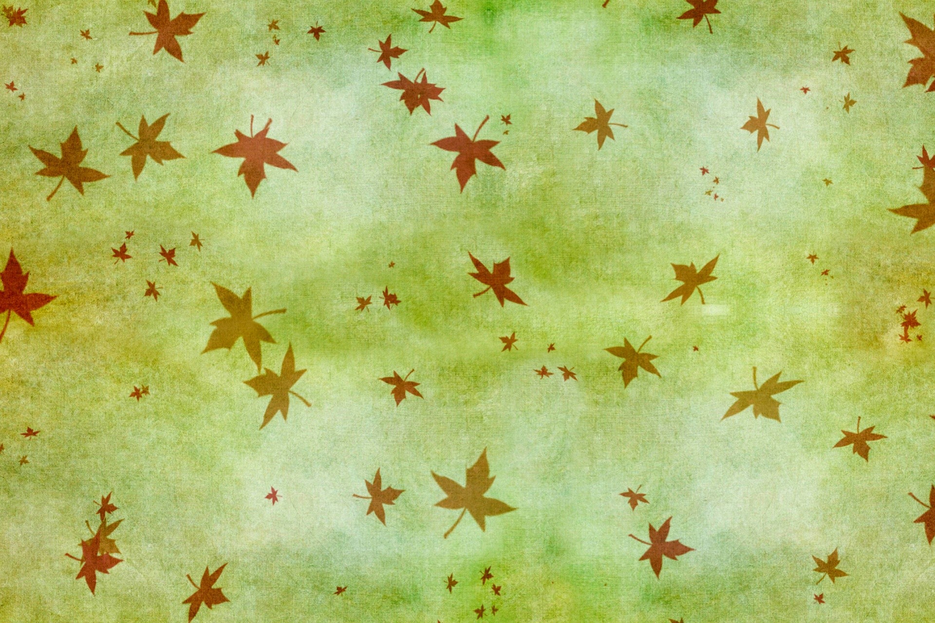 1920x1280 Autumn Leaves Wallpaper
