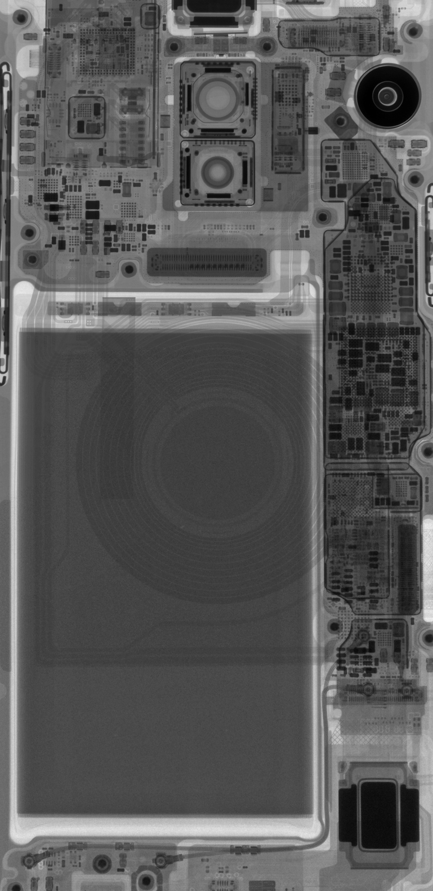 1440x2960 S9+ X-ray Wallpaper: Click photo for full resolution image (2960 Ã 1440)